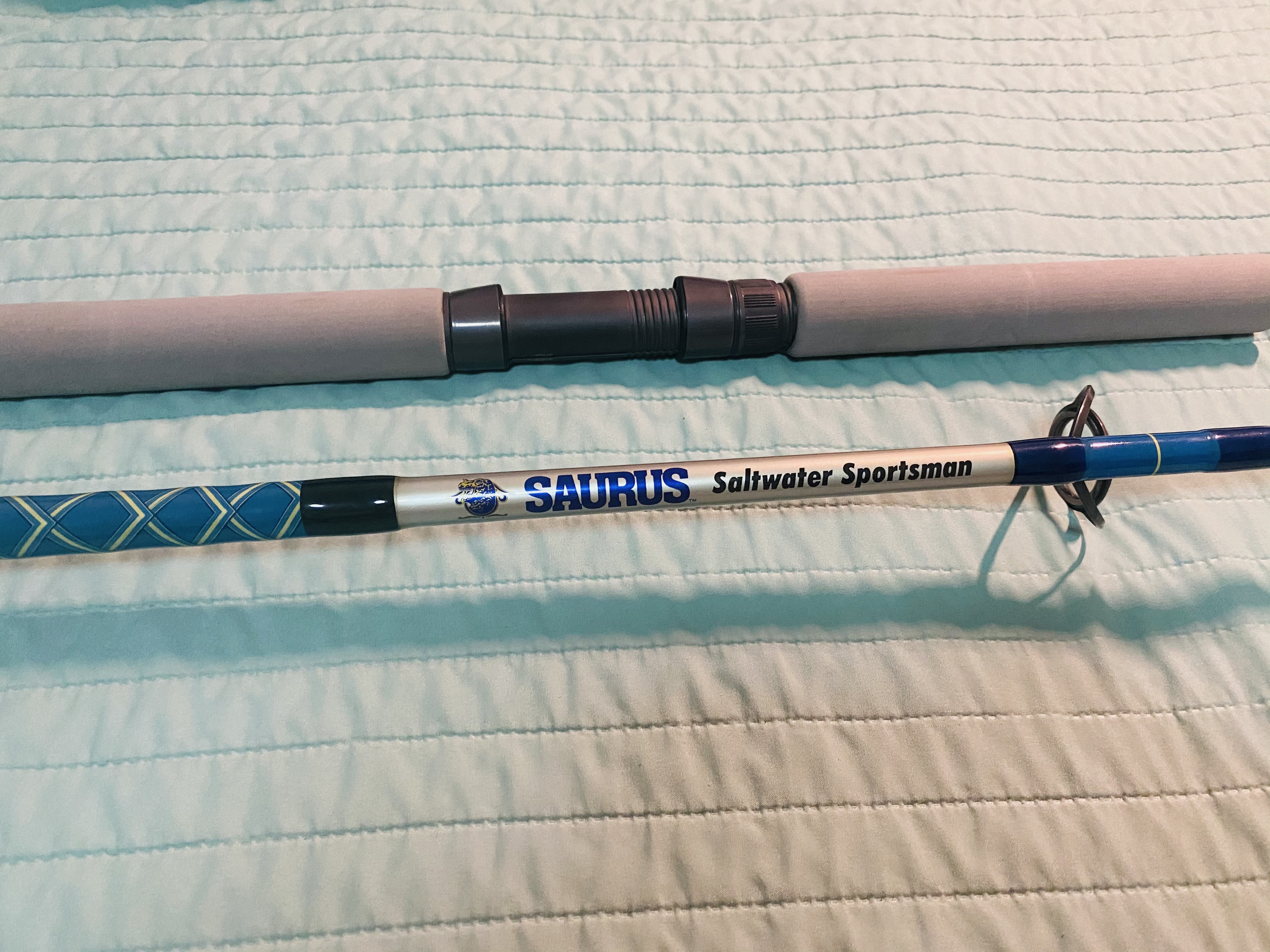 ロッド SAURUS Soltwater Sportsman PE-70 釣竿ロッド SAURUS ザウルス ZY Saltwater Sportman g-DOM GENE-60L