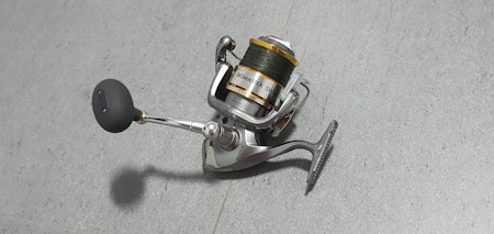 Shimano Biomaster SW6000HG