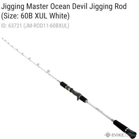 Jigging Rod