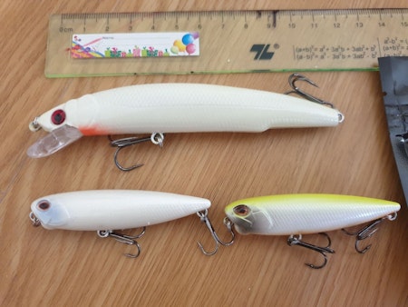 Free lures - 65mm floating pencil and 11cm UV minnow