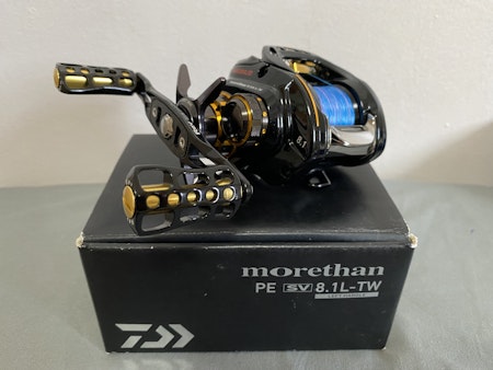 Daiwa Morethan PE SV 8.1L-TW