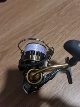 Daiwa Theory 3012H