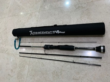 Thirtyfour 34 advancement bcr-56