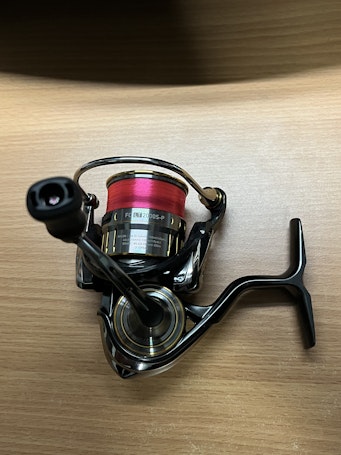 JDM Daiwa Luvias Airity FC LT 2000S-P