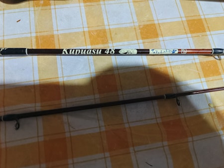 Tulala Kupuasu 48 bfs baitcasting fishing rod