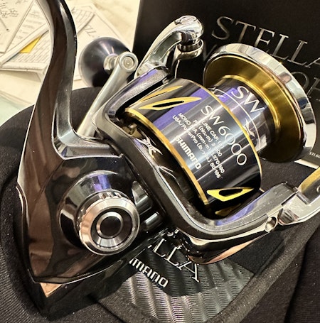 Shimano Stella SW6000HG (2013 model)