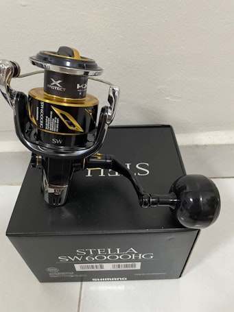 SHIMANO SW STELLA 6000HG