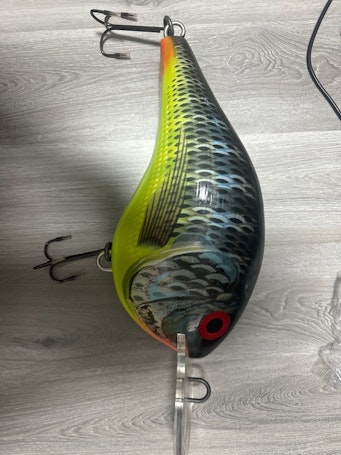 rapala giant dt lure