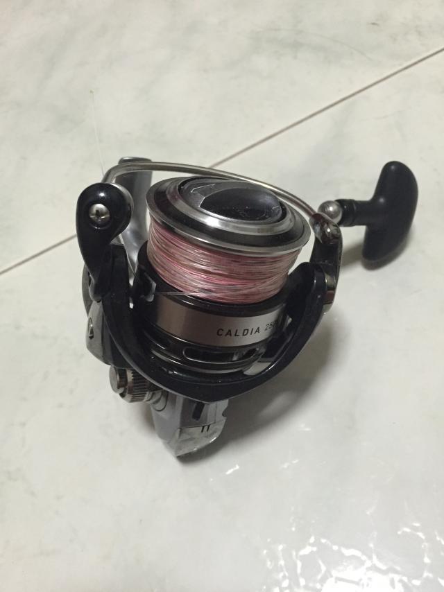 Daiwa Caldia 2508H