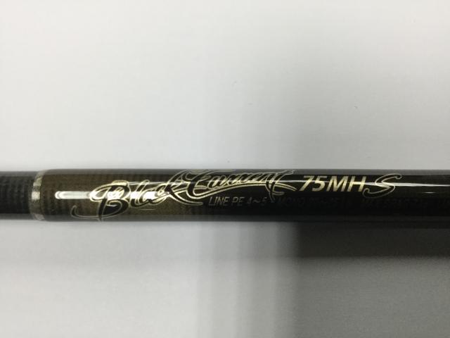 Carpenter Black Current BC75MLR(f) Casting Rods Fishing /AS4480/36