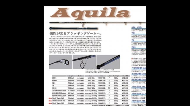 Ripple Fisher Aquila 743 with Shimano Stella SW 4000XG