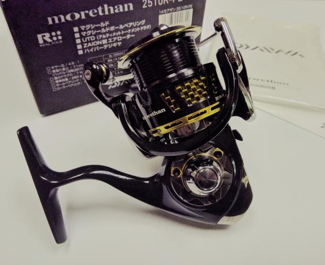 2014 Daiwa Morethan 2510R-PE